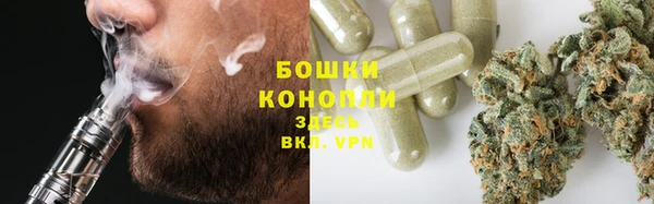 ГАЛЛЮЦИНОГЕННЫЕ ГРИБЫ Алексин