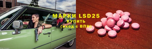 ГАЛЛЮЦИНОГЕННЫЕ ГРИБЫ Алексин