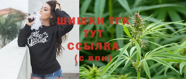 молекула духа Алексеевка
