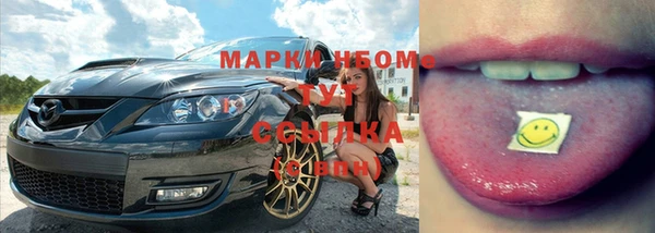 мяу мяу мука Аркадак
